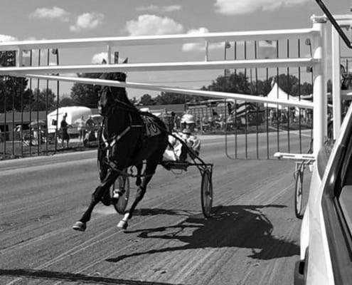 little brown jug